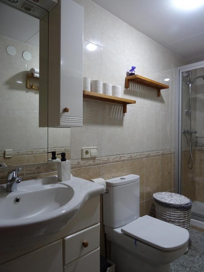 Apartamento Pis Acollidor Amb Llar De Foc, Al Centre Camprodon Exterior foto